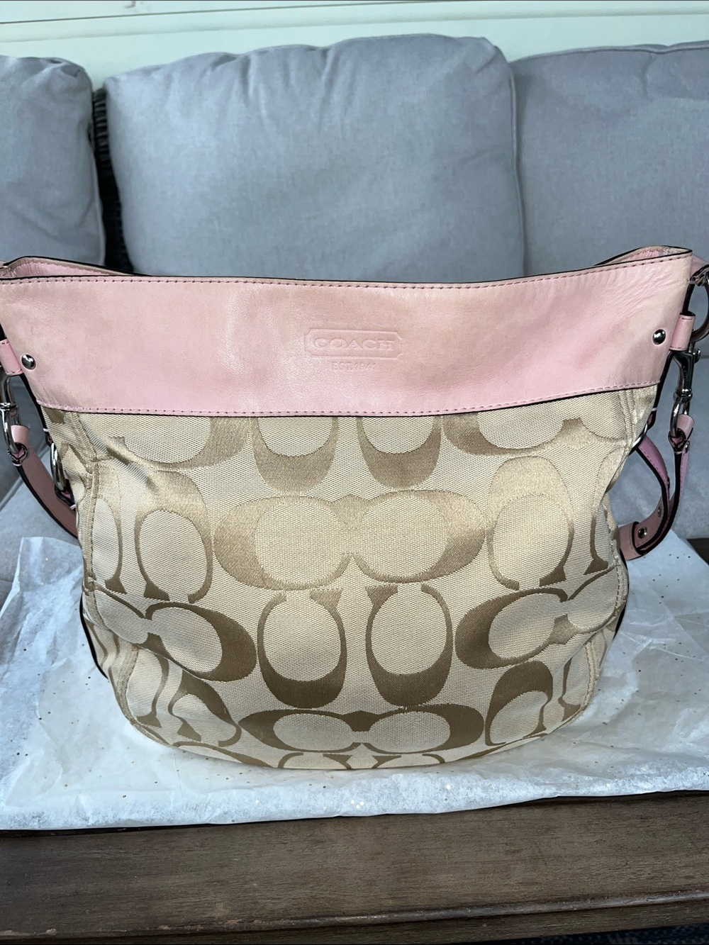 Coach Signature Zoe Hobo Bag